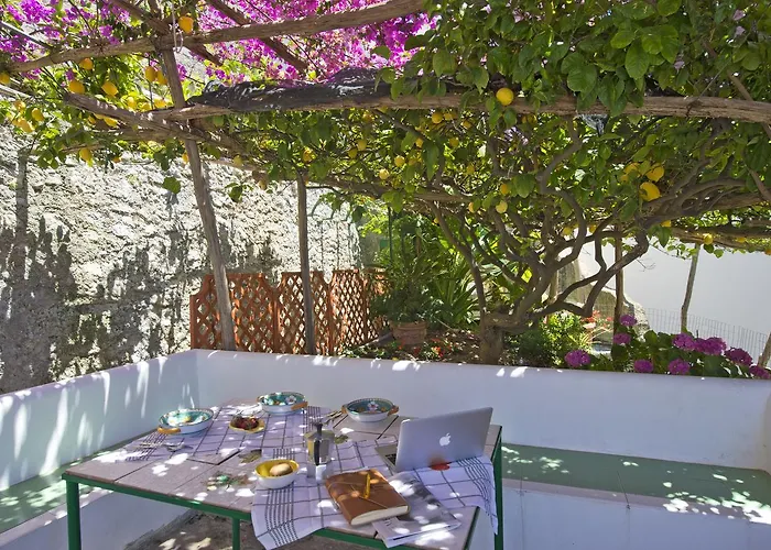 Mon * プライアーノ